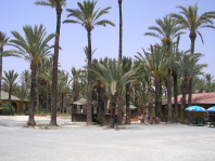Rio Safari Elche Image